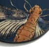 Close up of midnight blue four cork-backed coaster featuring the intricate artwork from the famous Royal Botanic Gardens, Kew's archives. Intricate pattern of a bug.