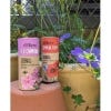 Kew Wildflowers Seedball Tube, Red Campion
