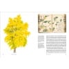 Remarkable Trees - inside page