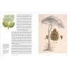 Remarkable Trees - inside page