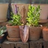 Kew Embossed Rose Copper Trowel