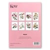 Rose Greeting Cards Set of 8