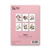 Set of 6 Concertina Roses Postcards, Back view of the box