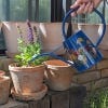 Kew Rose Indoor Watering Can lifestyle
