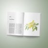 Sample spread from Treasured Trees