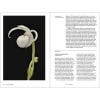 Saving Orchids inside spread