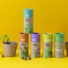 Kew Herb Seedball Tube, Parsley
