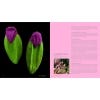 Seeds: Time Capsules of Life, two internal pages of the book