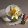 Kew Small Daffodil Paperweight