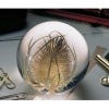 Small Teasel Paperweight
