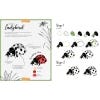 The Kew Book of Drawing Flora and Fauna spread - Ladybird project