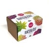 Succulent Mix Seed Growing Kit