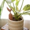 Terracotta Watering Stake, lifestyle image