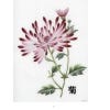 The Kew Book of Embroidered Flowers - inside page