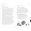 Almanac 2024 Seasonal Guide, two internal pages