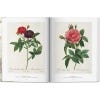 The Book Of Flowers