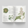 The Gardener's Companion to Medicinal Plant - inside page