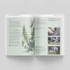 The Gardener's Companion to Medicinal Plant - inside page