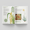 The Kew Gardener's Guide to Growing Cacti & Succulents -sample pages