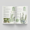 Kew Gardener's Guide to Growing Herbs- inside page