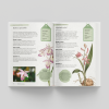 Kew Gardener's Guide to Orchids - inside page