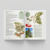 The Kew Gardener's Guide to Growing Trees - sample pages