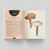 The Magic of Mushrooms - sample pages