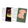 The Mushroom Compendium