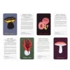 The Mushroom Compendium