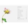 The Science of Gardening, index page