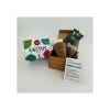 Cactus Mix Seed Growing Kit