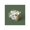 Coffee Bean Plant Seed Growing Kit