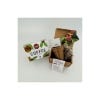 Coffee Bean Plant Seed Growing Kit