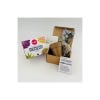 Succulent Mix Seed Growing Kit