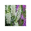 Wildlife Garden Seed Growing Kit
