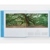 Tree Exploring the Arboreal World, two inside pages