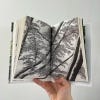 Tree Stories - How Trees Plant Our World