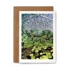 Kew Waterlily House Card