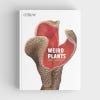 Weird Plants
