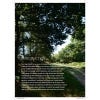 Wild Flowers of the High Weald - sample pages
