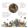 Wildlife Mix - Seedball Grab Bag