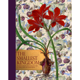 The Smallest Kingdom: Plants and Plant Collectors at the Cape of Good Hope - Cover