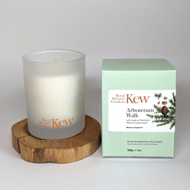 Kew Arboretum Walk Boxed Candle, Patchouli & Cedarwood