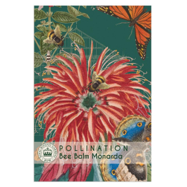 Kew Bee Balm Seeds