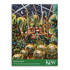 Christmas Cards Pack Festive Cacti