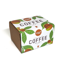 Coffee Bean Plant Seed Growing Kit