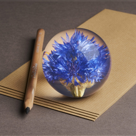 Small Cornflower Paperweight