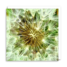 Dandelion Chrissie Greeting Card