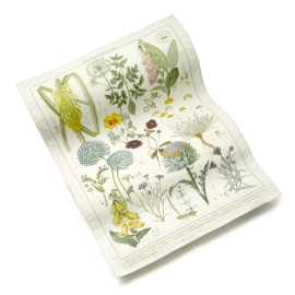 Kew Broad Walk Borders Tea Towel