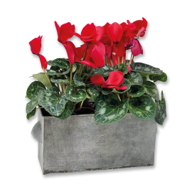 Kew Zinc Rectangular Planter with Handles